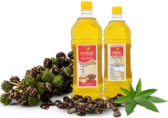 Two bottles of cooking oil beside a mound of castor seeds, adorned with a fresh green leaf.